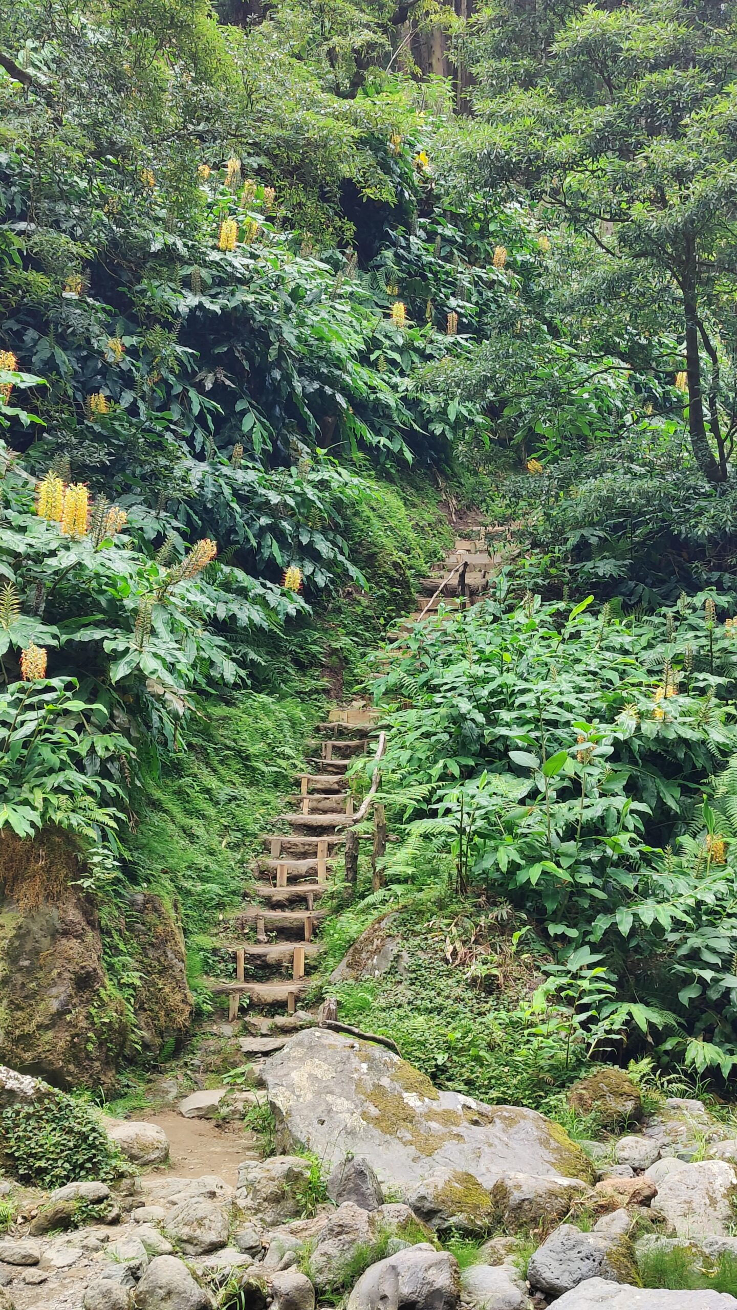 Journey stairs
